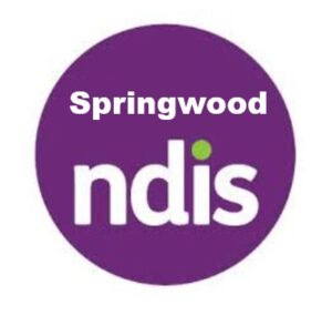 NDIS service providers Springwood QLD