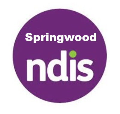 NDIS service providers Springwood QLD